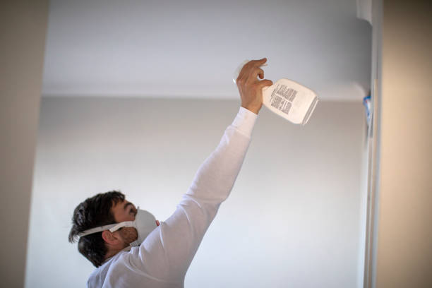 Office Mold Removal Services in Wilkshire Hills, OH